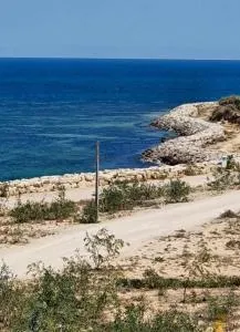 Diamant ikbel - Bidane