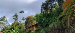 La cabaña de Eugenio