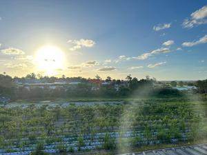 Brand-new entire terrace home