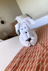 Apartamento Resort em ipioca Maceió