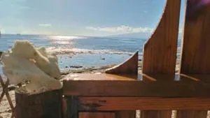 Fare Mama Fenua plage baleines Moorea Temae - Teavaro