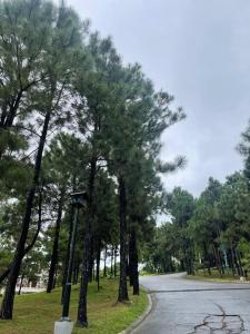 Tranquil Alpine Villas