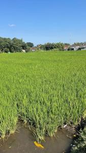 Private 3BR Villa Bali Work & Relax Retreat near Canggu, Bathtub