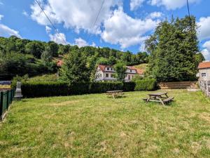 Appartement 42m² cosy avec parking, WiFi, proche pistes, La Bresse - FR-1-589-684