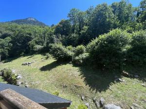 Appartement avec piscine chauffée, parking et vue montagne à Cauterets - FR-1-812-77