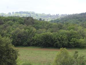 Maison rustique en pierre avec jardin et cheminée près de Sarlat - FR-1-616-385