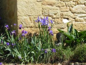 Maison en Dordogne avec Wifi et vélos, proche sites touristiques - FR-1-616-409