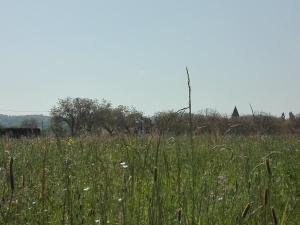 Maison en Dordogne avec Wifi et vélos, proche sites touristiques - FR-1-616-409