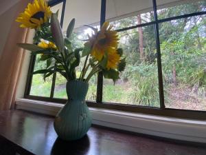 Sine Cera Rainforest Retreat - The Freeman Suite