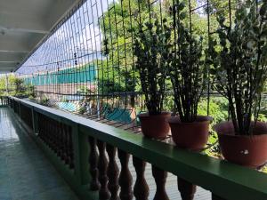 TheLavanderDream of Terbaik Apartments