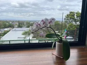 Sunlit Lodge - Loganholme