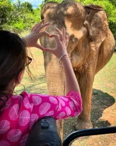 Elephant Safari Lodge - Dematapelessa