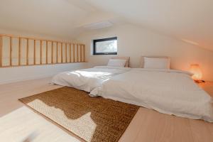 Jeju Leval Homme The Gwangnyeong Forest