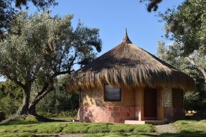 Habitación Ancestral Sol Muisca