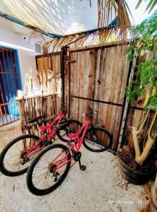 Little Oasis Cozumel