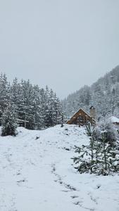 Cozy Cottage Feel Free continental