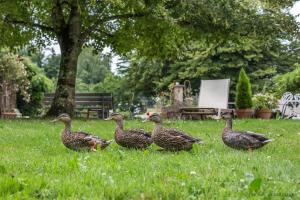 B&B / Chambres d'hotes La Ferme de Marie Eugenie : photos des chambres