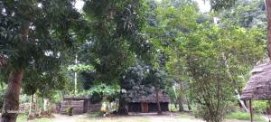 Kv Jungle Bungalows