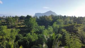 vista linda farmstaycation