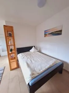 Zentrale 1 Zimmer Ferienwohnung - Riesenbeck
