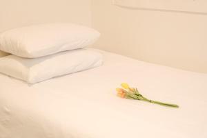 Aewol Handamgil Stay