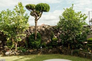 Aewol Handamgil Stay