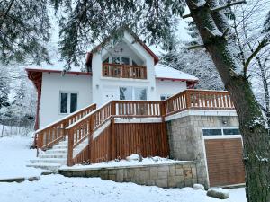 Ház a Pilisben - mókus család a kertben