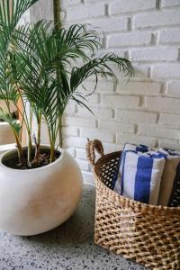 Modern 3 Bdr Villa in Pererenan w Private Pool Walk to Beach and Cafes