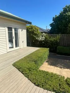 Hedges on Appledore - Sassafras