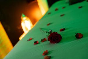 Appartements La Foret Enchantee - Chambre a theme Love Room Jacuzzi - Evasion pour deux : photos des chambres