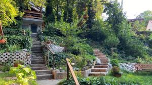 Tiny Forest Apartment