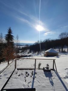 Kryjówka - Jurty ukryte wśród zieleni