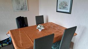 Harzer Ferienwohnung mit Pool und Sauna