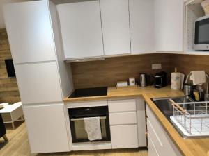 Appartements Sublime 3 p au centre-ville : photos des chambres