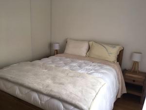 Appartements Bassin Arcachon Appt recent4 couchages petit jardin : photos des chambres