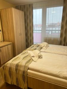 Double or Twin Room Comfort room in Hotel Pelikán