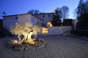 Villas Mon Reve : photos des chambres