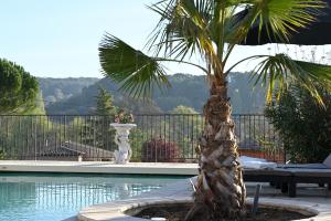 Villas Mon Reve : photos des chambres