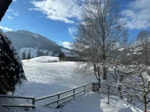 Gstaad Gem: Best Alps View Serene Pond - Rougemont