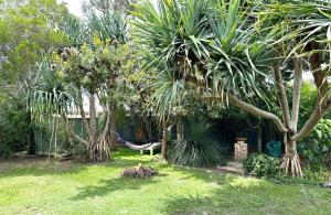 Pandanus Paradise. Newly renovated 4 bedroom home