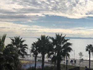 Vollga Four Seasons Apartment