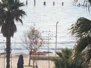 Vollga Four Seasons Apartment