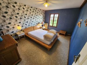 Spacious house with large garden in Valdivienne