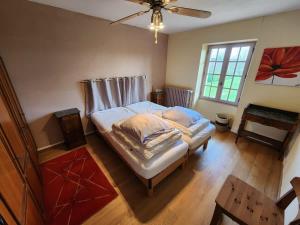 Spacious house with large garden in Valdivienne