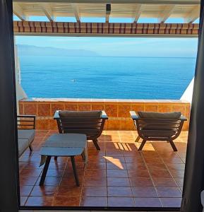 Delfin Bambi Los Gigantes