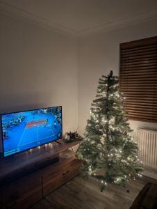 Stylish and well equipped flat in Stockwell