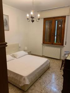 HOUSE of NILA & LIDA