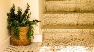 Escapada Rural en La Casa del Árbol