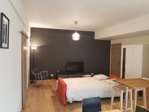 Renovated one bedroom apartment Schuman area
