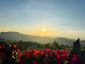 มองดูเลย โฮมสเตย์ ไฮตาก